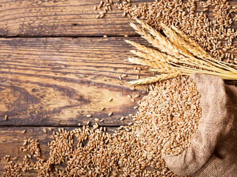 what is the best way to store wheat berries for long term food storage