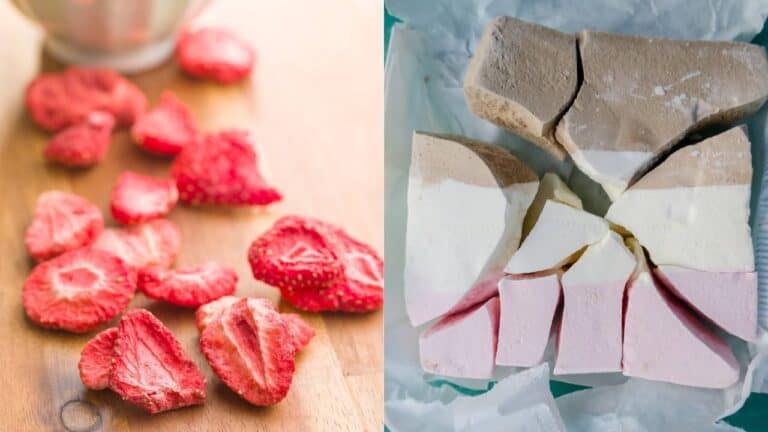 freeze dryers and freeze dried foods