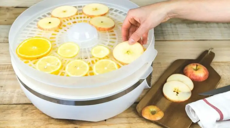best home dehydrators