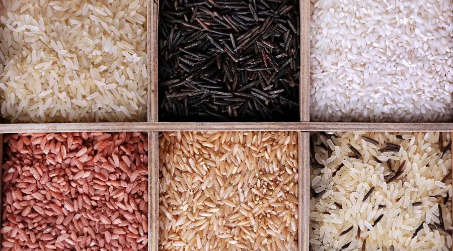 Shelf life of commonly used types of rice and when they can go bad