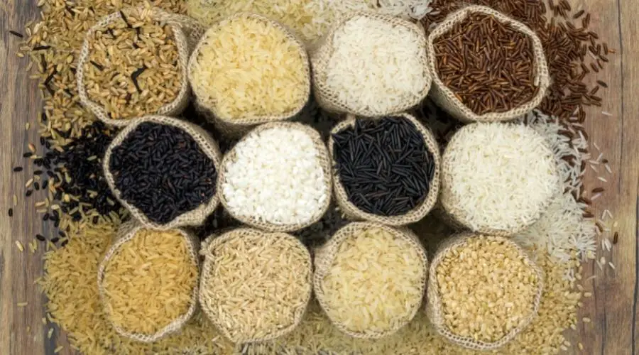 what is the shelf life of the most common types of rice being used