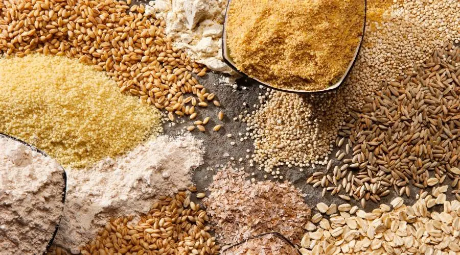 grains are food that last a long time in long-term food storage
