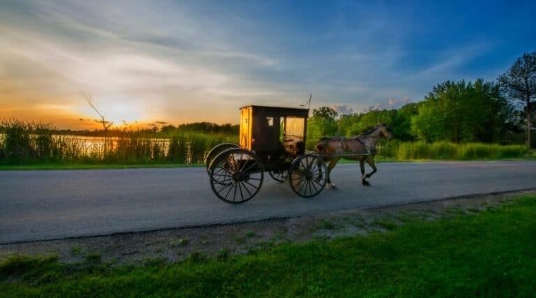 Amish stores near me