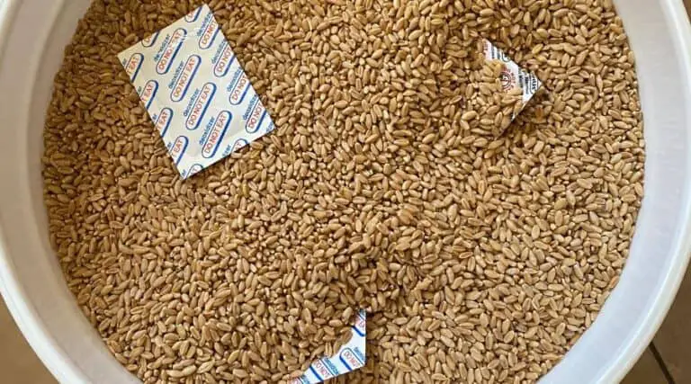 How to Use Oxygen Absorbers in Long-Term Food Storage