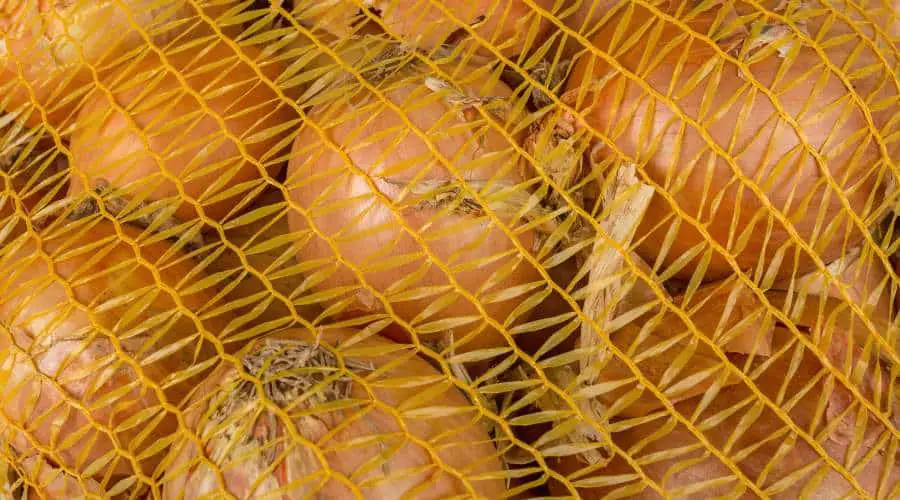 store onions in bags that allow for air flow