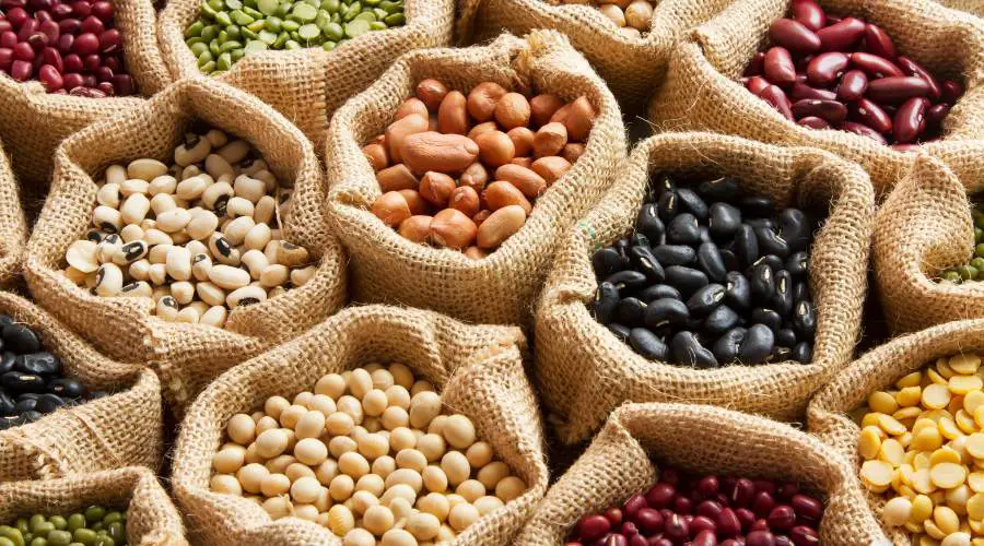 how to store dry beans for a long time