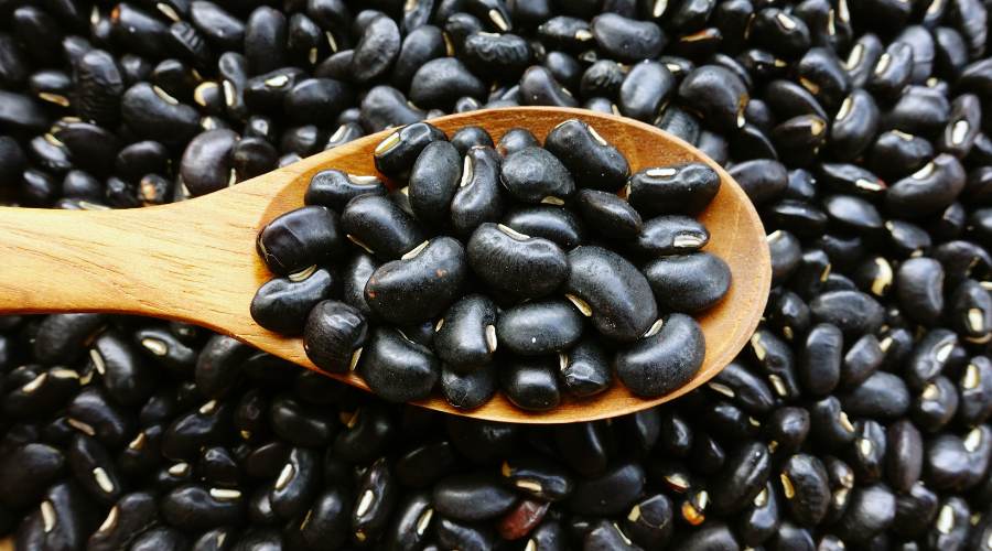 what is the shelf life of dry black beans?