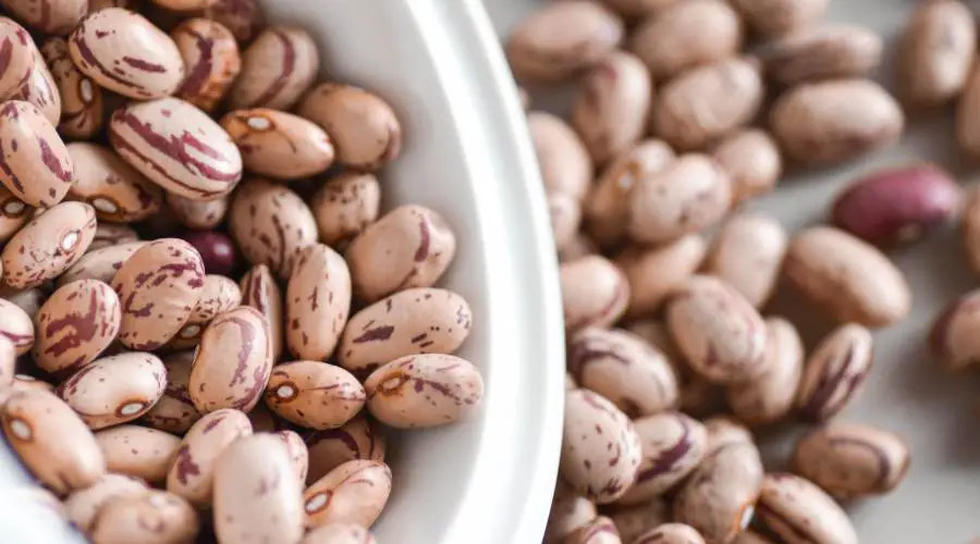 the shelf life of dry pinto beans